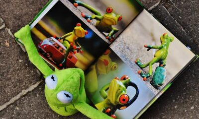 Travel Photo Book